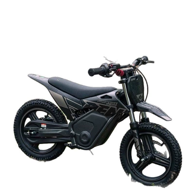 Learning Gift, Elektrikli motosikletlər