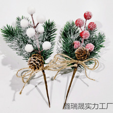 �w��� �羳�}�Q������ɹ� �{���}�Q�b�ѩ�����K�t�{������