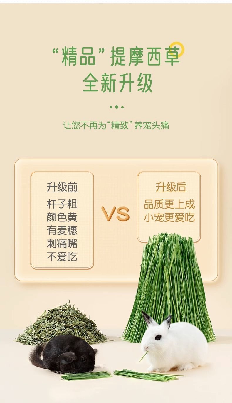 a80828bc-1fff-417e-9adb-e053472020f9.jpe