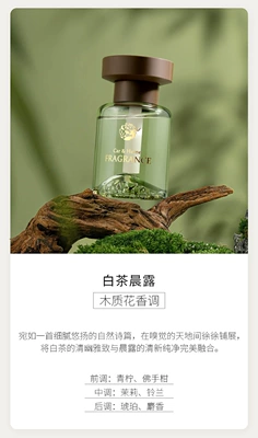 Car Aromatherapy, Car Interior: Car Perfume Aromatherapy - mountain-peak-white-tea-morning-dew-low-concentration-with-mesh-lid