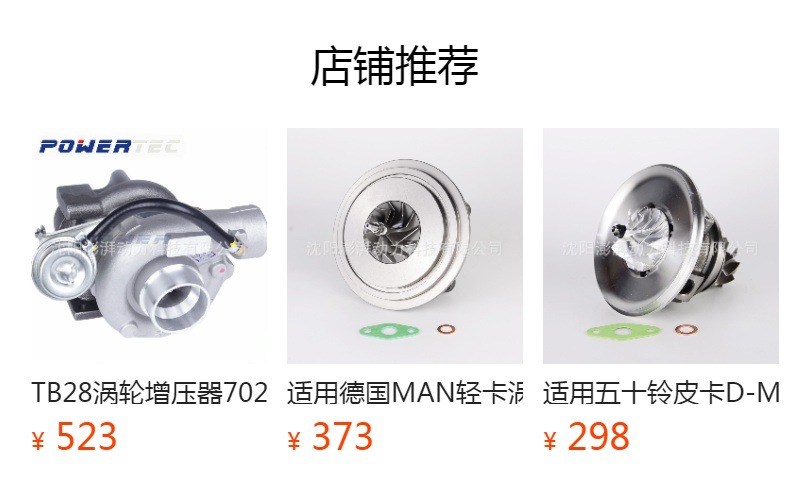 702989 -0003 Complete Turbocharger for Iveco 702989 4891639