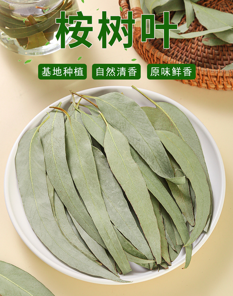 Eucalyptus Leaves (Eucalyptus globulus) — Dried Blue Gum Leaf for Sachets & Herbal Blends key features