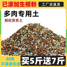 多肉土颗粒专用营养土壤种植泥铺面石颗粒泥炭花盆栽亚马逊速卖通