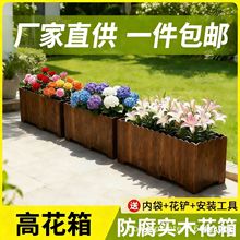 ������ľ����Nֲ�仨�����ͥԺ¶̨�L���ηN�����̨���⻨��