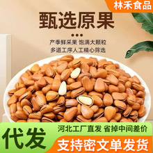 һ�����l��؛�|���_�����Ӵ��w��ɢ�b �Թ���؛�ЋDС��ʳ�_����