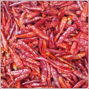 ���S���������M���������aӡ��ħ�����lɽ�|�����������������콷