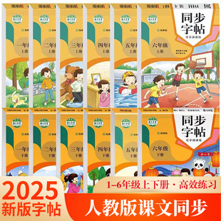 People's Education Edition grade one, two, three, four, five and six primary school students synchronous copybook calligraphy practice book wholesale copy description