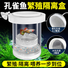 ��ȸ�~���x��ֳ���~���~�����~С�~�ָ����Pβ�~������ĸ�~Ͱ