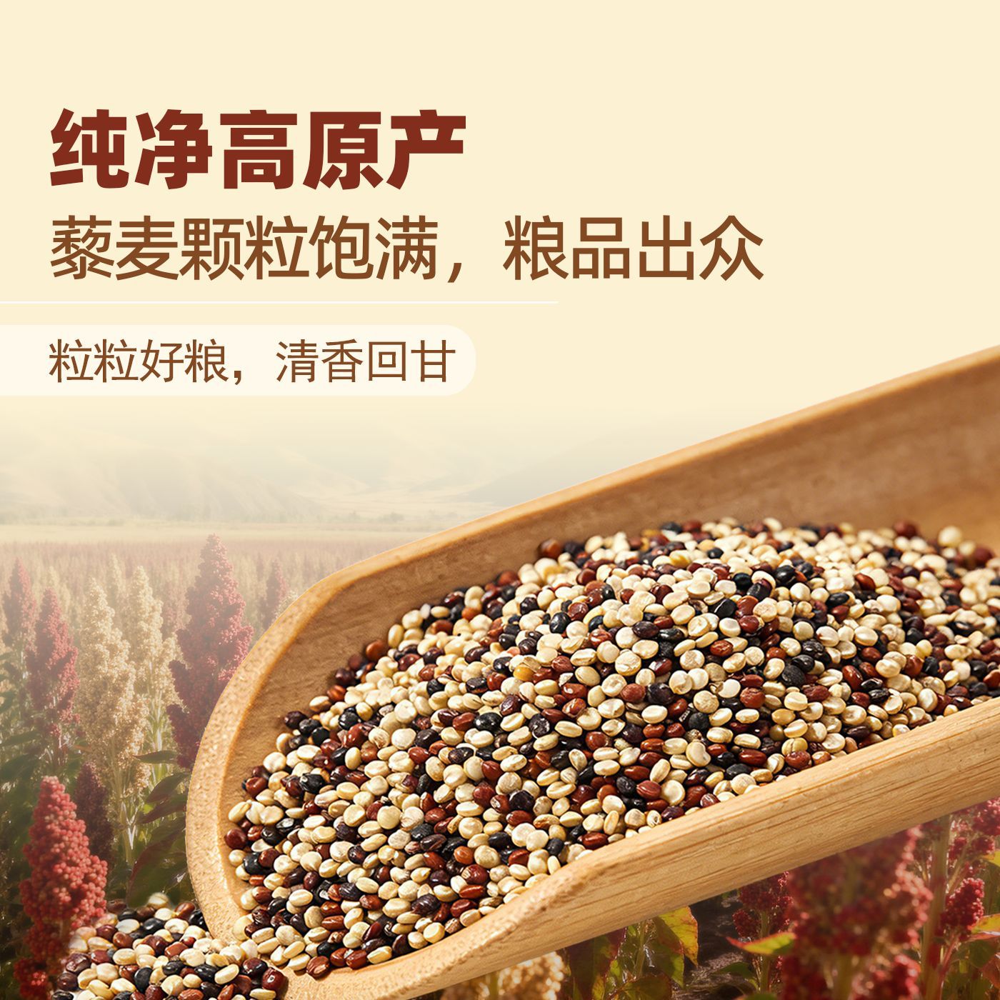 3 색 퀴 노아 500g 칭하이 고원 전문 곡물 기타 굵은 곡물 대체 영양 죽 크레인 laixiang 1kg OEM