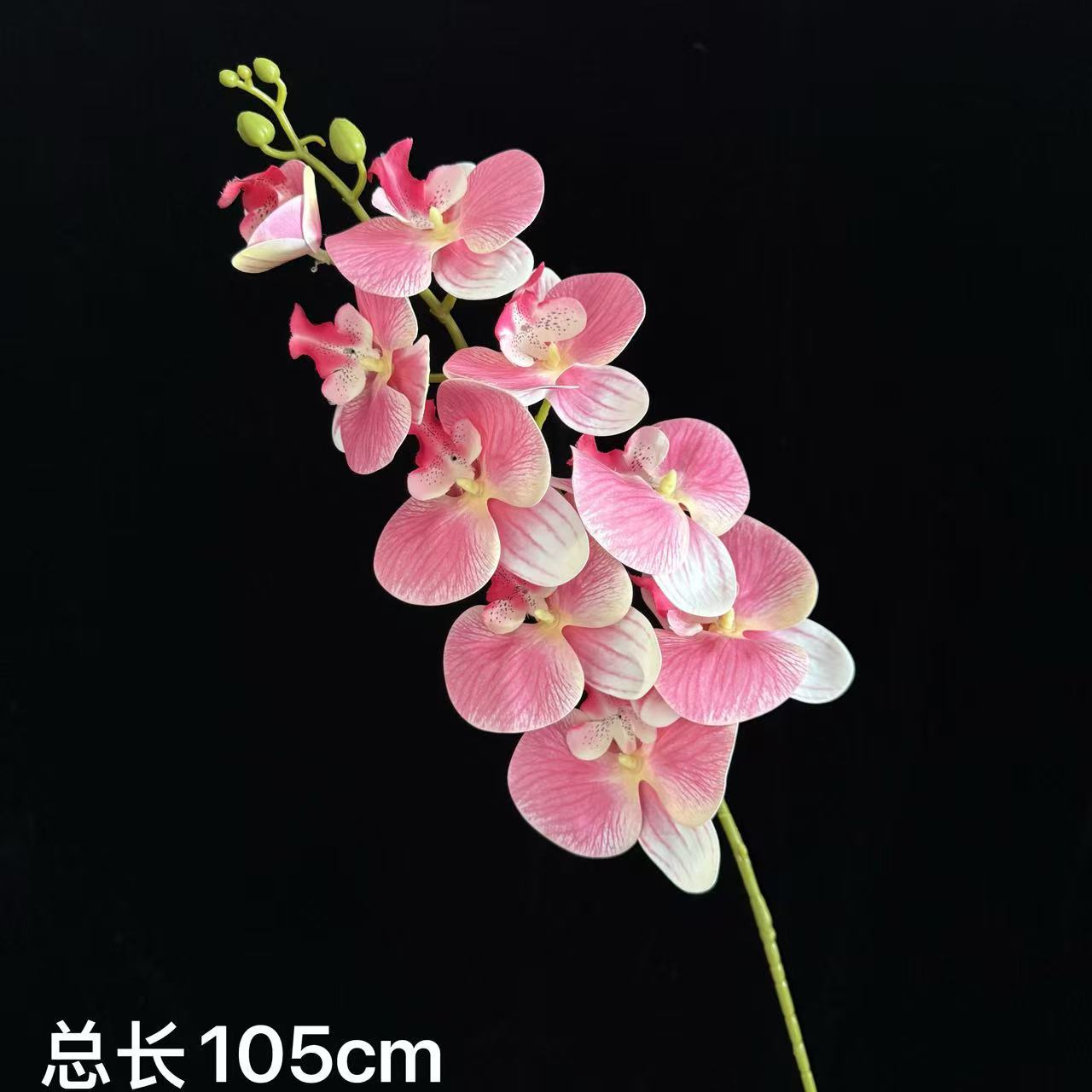 진한 핑크