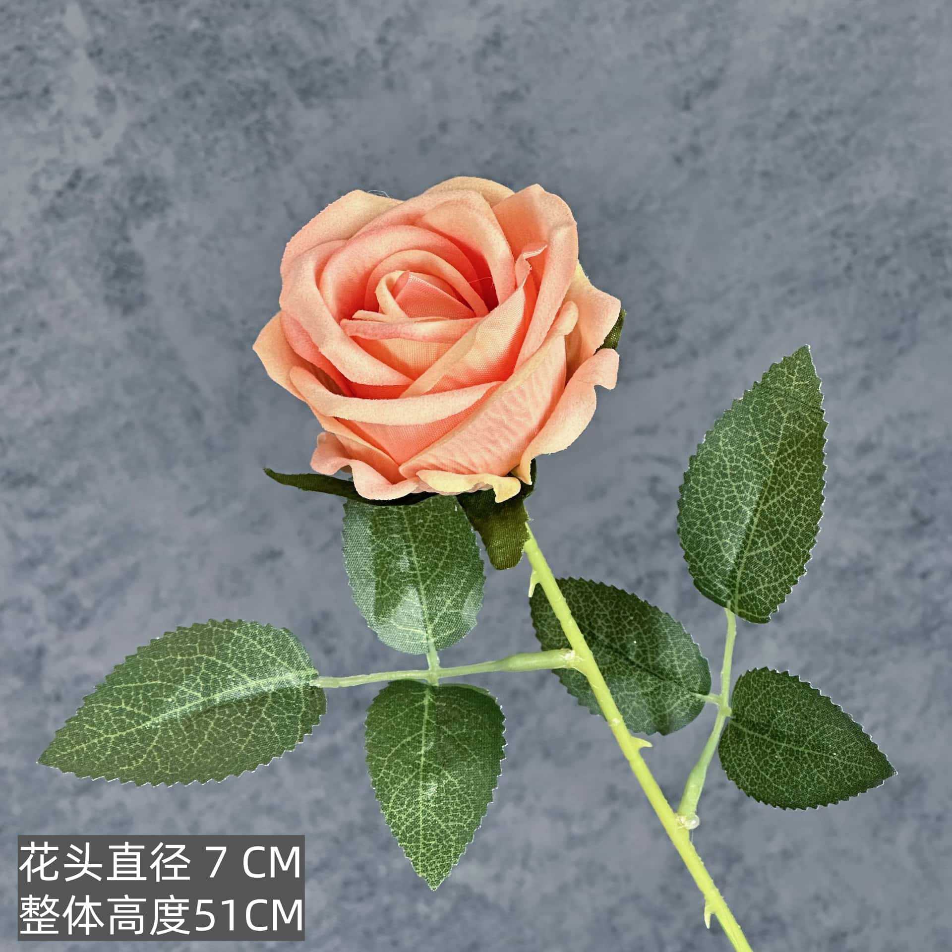 Velvet 7cm-orange pink