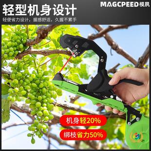 ?�¿����ѽ�֦�C�������t���J���ҹ����p�ͽ�֦���ք������S��ֱ