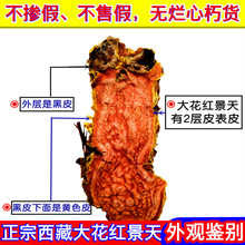 ���x��Ƥ��؛�t���쾫�x�خa5g�󻨉K�ݲ���ˮ25���غ�ș�Ŀ��ٰl
