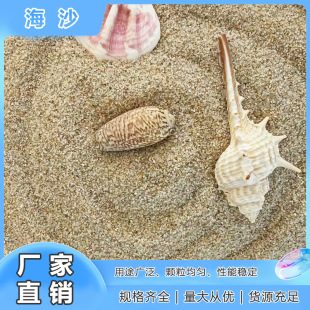 Factory Direct Sea Sand Children's Entertainment Sand Aquarium Landscaping Sand Artificial Beach Dry Landscape Landscaping Sea Sand Wholesale