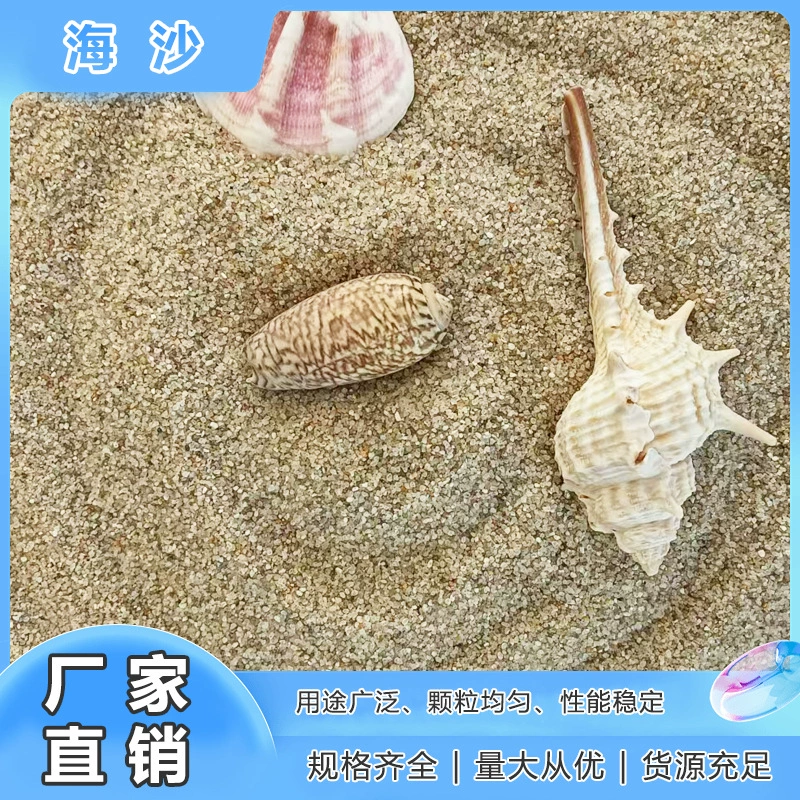 Производители прямых морских песков Детские развлечения Песок аквариумного песка Искусственный пляж сухой пейзаж морской песок оптом