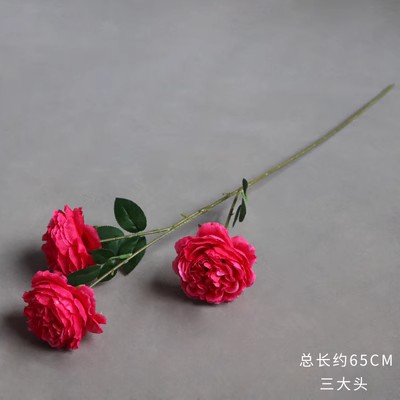 Rosa roja tres cabeza grande peonía extranjera