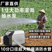 1寸大功率灌溉水泵便携式浇菜农田锂电抽水泵花园果园浇增压泵