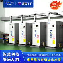 冷凝式商用燃气容积式热水器99kW天然气热水炉酒店锅炉BTCO-250