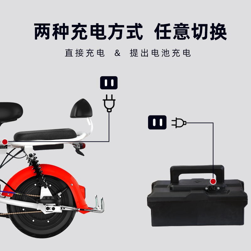 Nueva bicicleta eléctrica estándar nacional hombres y mujeres yadiaima misma pequeña batería coche transfronterizo fábrica directa al por mayor