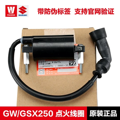 Alovlandırıcı (Vozduşka/İqniter): GW DL250 DR300 ignition