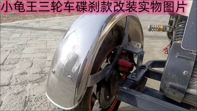 Fender for Small Turtle King: Electric vehicle fender
