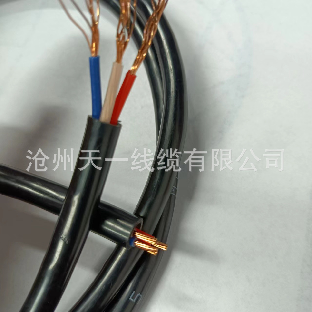 煤矿用控制电缆  MKVVR-450/750 14*4   煤安证齐全