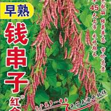 thǷNӷNֲ͵͜·NӸYǶڸ߮a