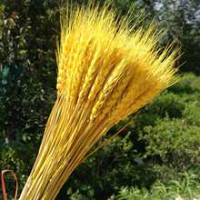 �S������ɻ������_�I�����͏d��@�b[���ɻ��廨����