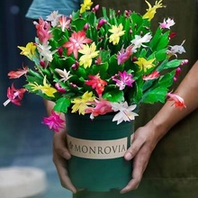 зצ�m���Ծ�Ʒ���玧���ɼ޽Ӷ���ֲ���҃��̨��ɫ���ܺ��B�Gֲ