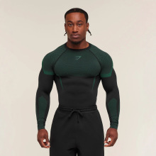 跨境GYM肌肉健身长袖上衣男秋冬跑步训练骑行运动紧身速干弹力T恤