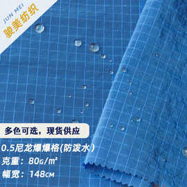 40D尼龙亮丝5分格爆爆格布料防泼水潮牌户外登山系防晒羽绒服面料