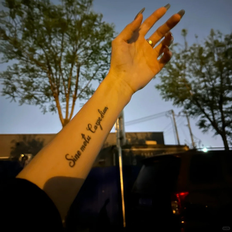 Tattoo Cool and Handsome Herbal Arm Permanent English Pattern Waterproof Sticker Reflective Collarbone Anti-Rub Juice Long-Lasting Trend