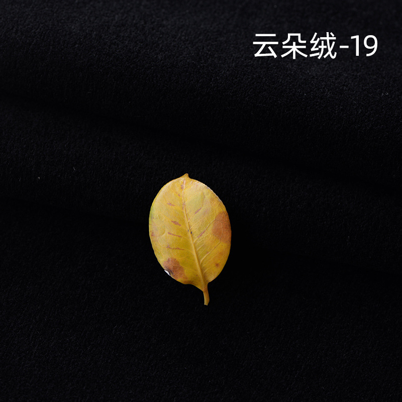 Cloud Velvet-19