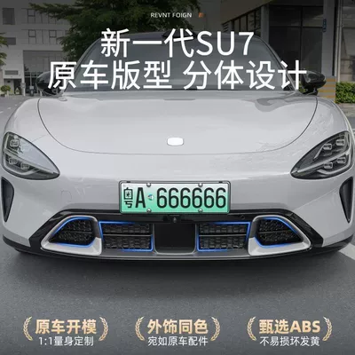 car insect-proof net, front grille | Automobile anti-insect net