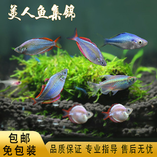 늹������~ʯ���˄��������{����늹���Ꭷ�^�p�~�J�ןᎧ�~���w