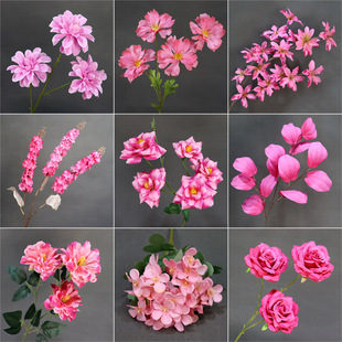 ��cõ�tɫ�һ�����Y�ٻ�·�����Ļ��Ų廨���������쾰��ˇ