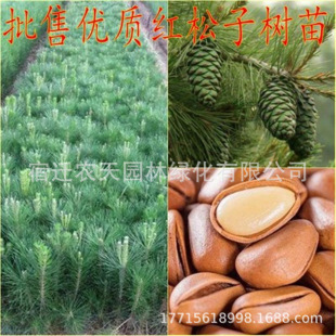 ��������������Թ�����ɽY������Y���ѵ��ɘ���t���Ә������