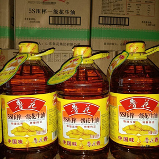 ����ʳ���͉�եһ�����������퉺ե�e�������