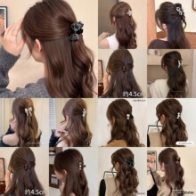 2026�¿�С̖С��ץ�A���|�������������~�A�ll�������K�l�A