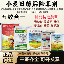 小麦田除草剂二甲四氯 氯氟吡氧乙酸 双氟磺草胺 苯磺隆 唑草酮