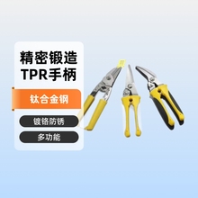 { ๦ܼ FƤ   Ӽ;䓽zü