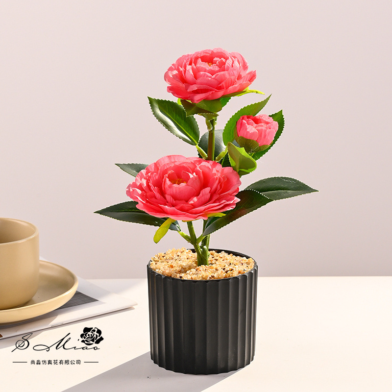 Bonsai pequeño de camelia de tres cabezas transfronterizo, flores de simulación creativa, decoración de estudio fotográfico para el hogar, plantas verdes artificiales, plantas en macetas de simulación image 5