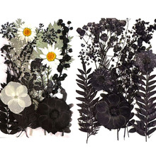 黑色花材押花材料包 跨境货源真花树叶植物标本DIY装饰干花压花