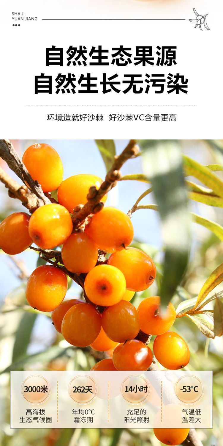 Sea Buckthorn Pure Juice Sha Ji 100% Concentrated Fruit Pulp 15ml Sachets Daily Wellness Drink key features