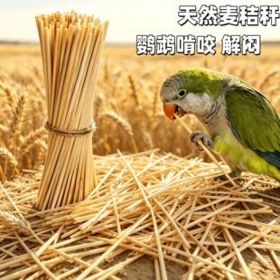 �W�^���U��ĥ����ҧ�␞�����������Pĵ����Ƥ��횲���Ȼ���ն�