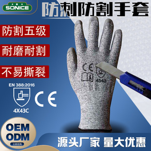 ���и�5������HPPE�@ˇ���o������ڱ���ĥ��˺�����׏S�����l