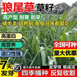 �^�p��β�ݷN������������β�ݷN�����Թ��@�G����·�ӵ��o�²���