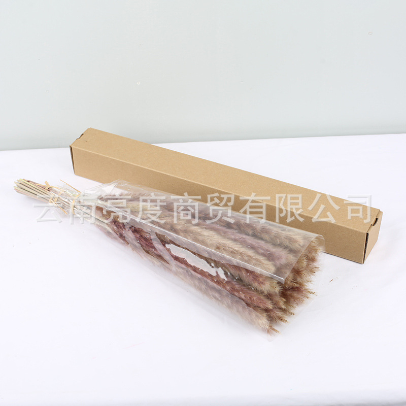 Pampas naturales ramo de flores secas cola de conejo hierba pequeña Reed polvo Reed madera estilo bohemio decoración del hogar