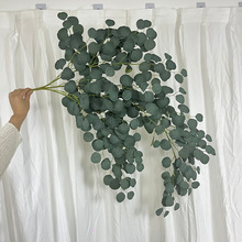 ���滨��ڒ��O���~����Gֲ�ȼ����~�ӵ�피٘�֦�羳���N���~��