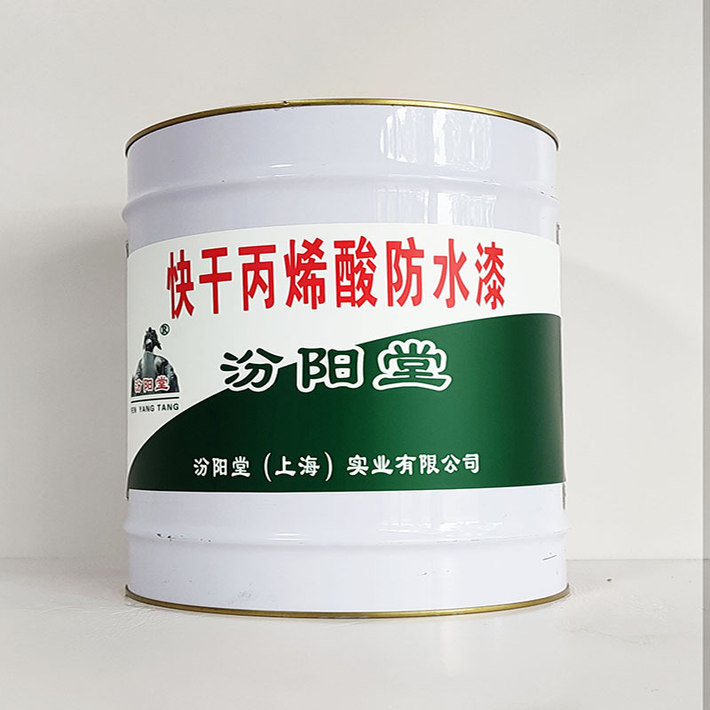 快干丙烯酸防水漆、汾阳堂诚实守信、快干丙烯酸防水漆、供应现货